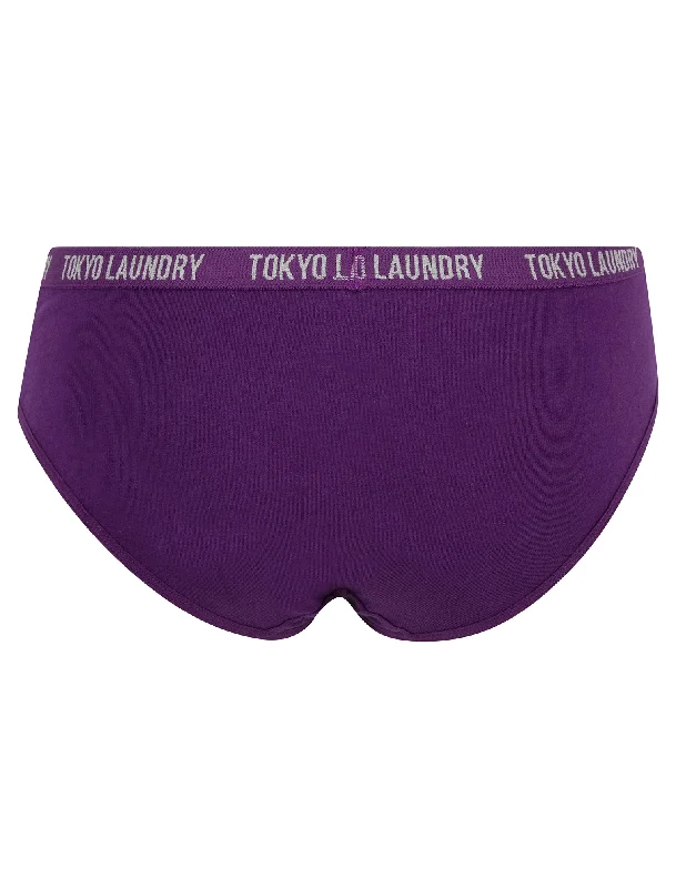 Molly (5 Pack) Cotton Assorted Briefs in Light Grey Marl / Thistle / Ash Rose / Maroon Banner / Majesty - Tokyo Laundry