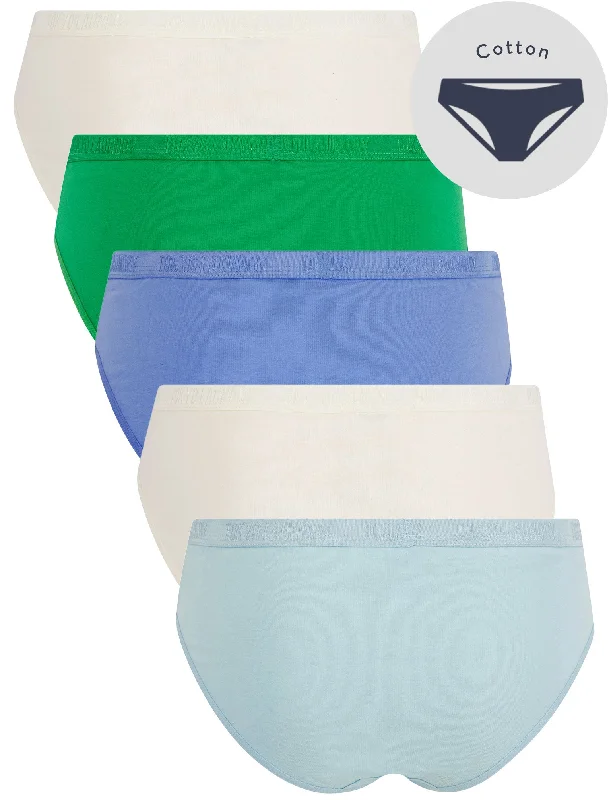 Nala (5 Pack) Cotton Assorted Briefs in Clear Sky / Jet Stream / Persian Jewel / Fern Green - Tokyo Laundry